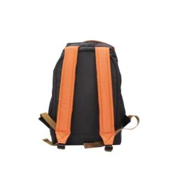 ALTX - Mt Hood(Alt X Mt Hood) -Alt ALTX monthood back