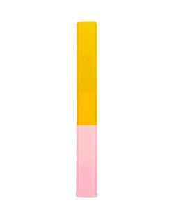 Toothbrush Case Yellow/pink(Toothbrush Case Yellow Pink)