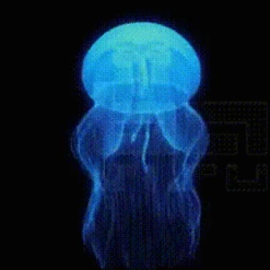 Alt Little TDB - Ego(Alt Little Tdb) -Alt medusa2 982c8fae a318 401b 85f8 5172c0bd8f00